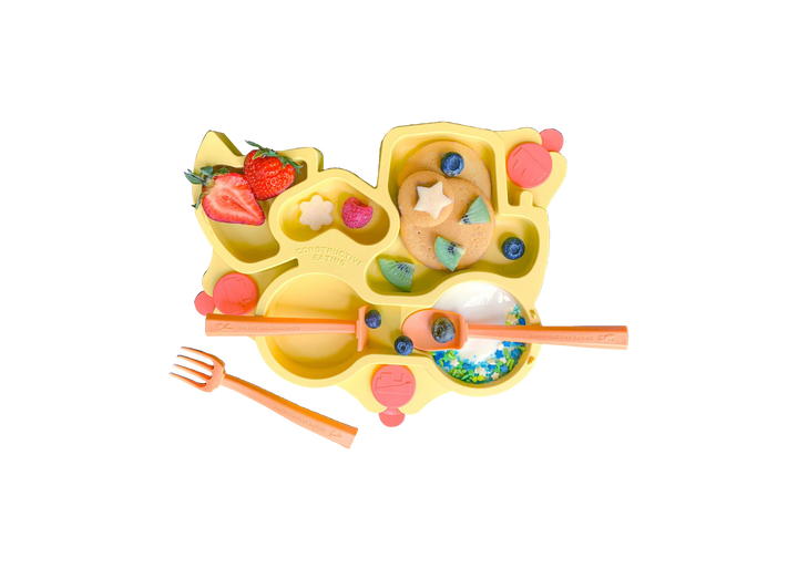 Truck Suction Plate and Training Utensils