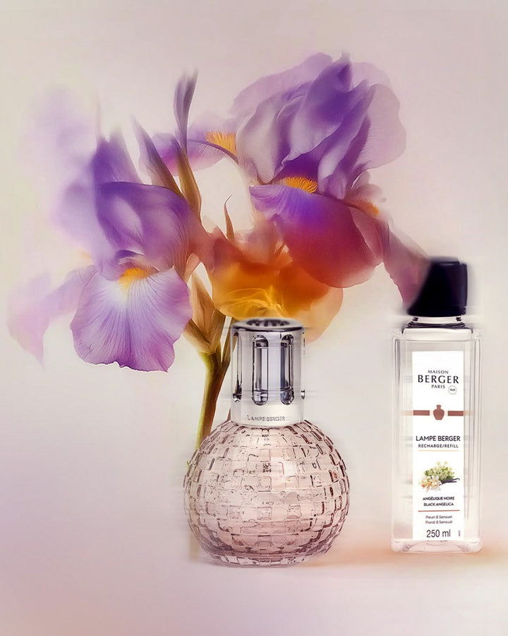 Disco Blush Fragrance Lamp Gift Set