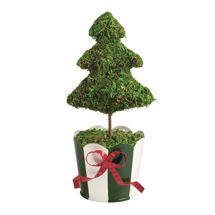 Christmas Tree Topiary