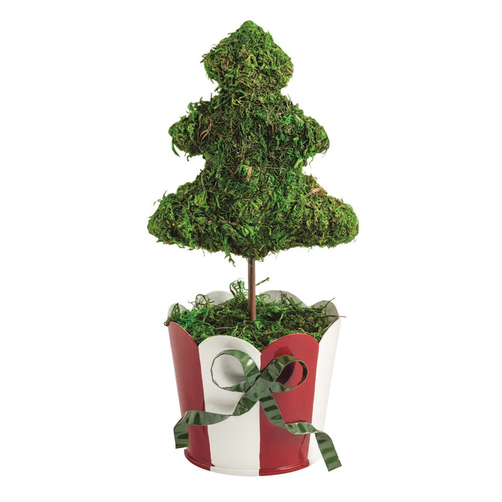 Christmas Tree Topiary