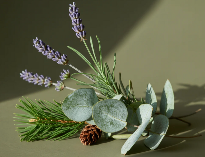 Lavender Fields - Smart Vial