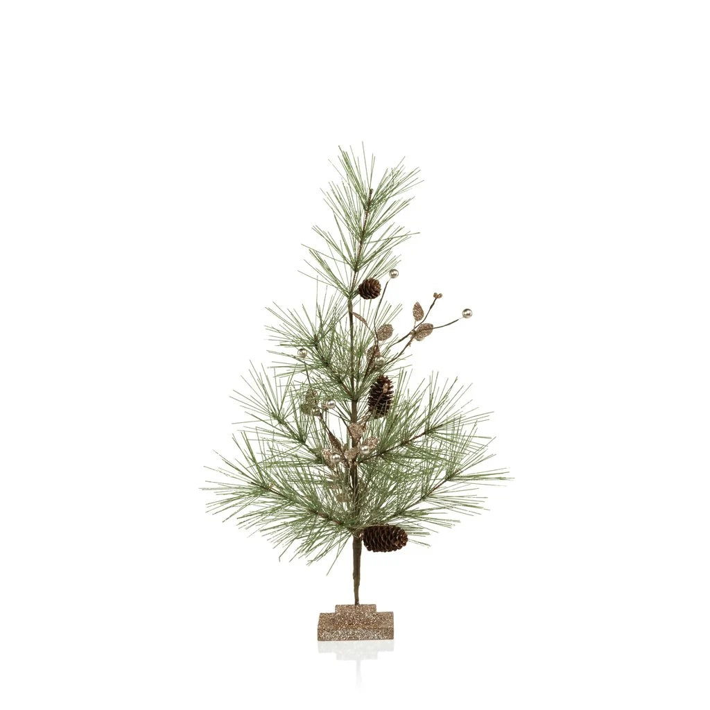 Needle Pine Tree with Small Pinecones