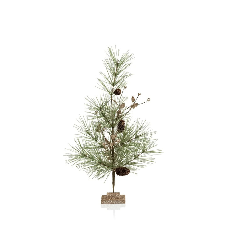 Needle Pine Tree with Small Pinecones