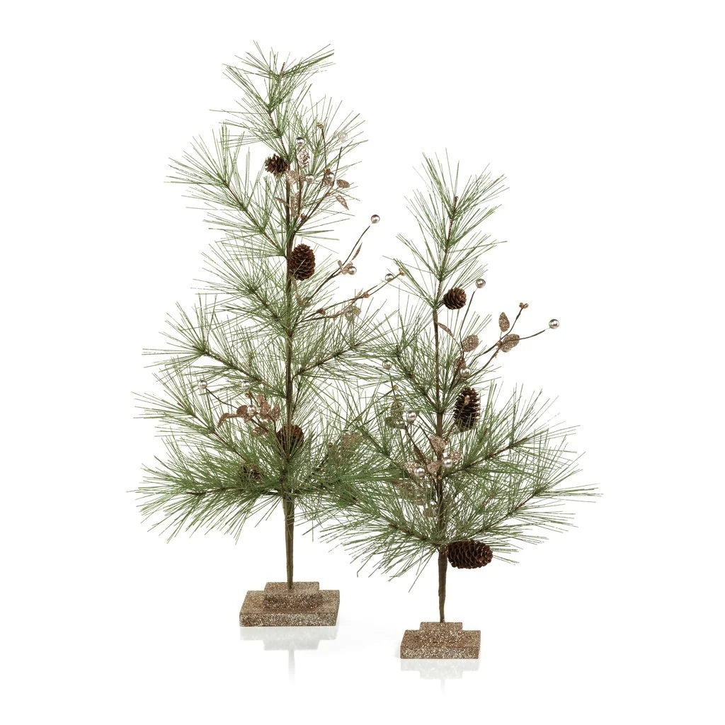 Needle Pine Tree with Small Pinecones