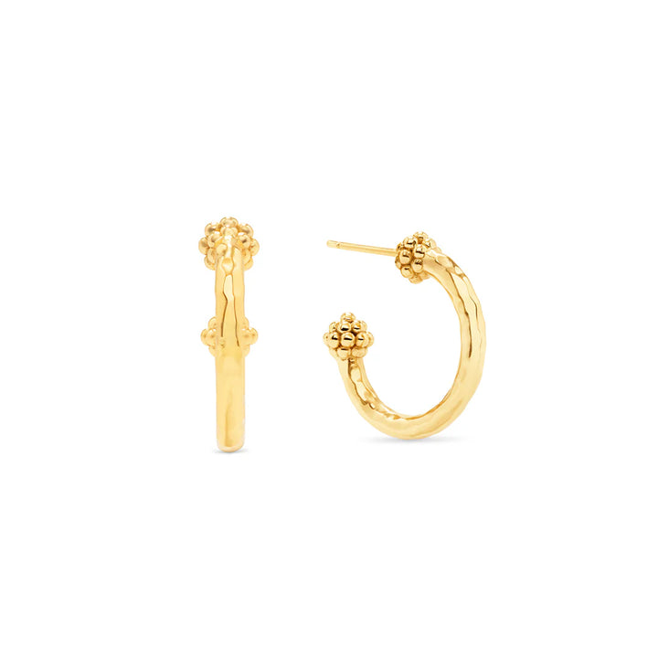 Berry Slice Hoop Earrings - Gold